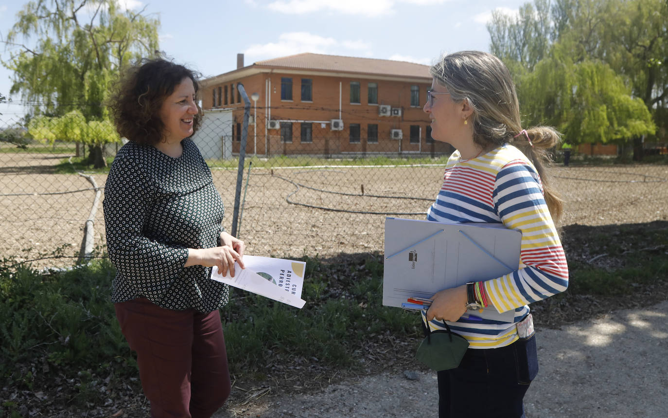 La Escuela de Viñalta busca opciones formativas útiles para ofrecer una salida laboral