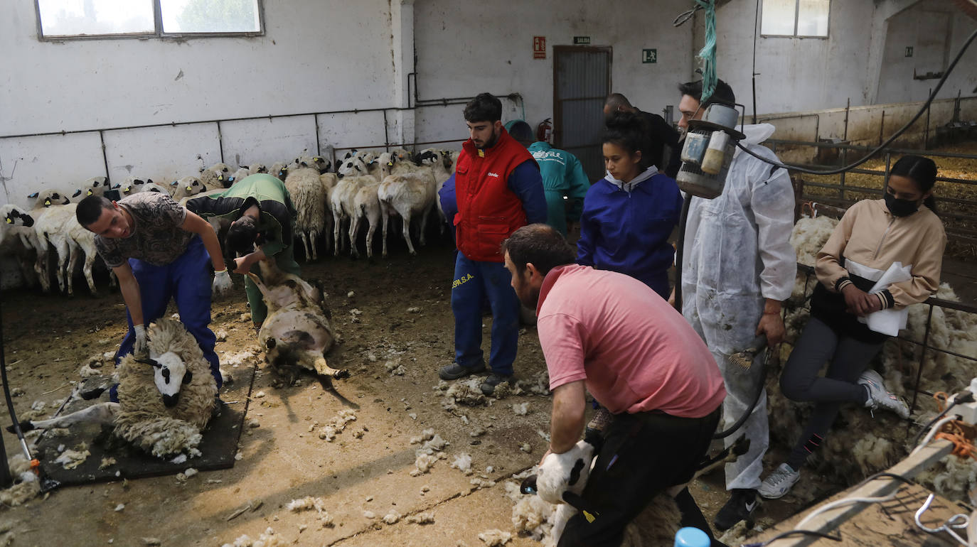 La Escuela de Viñalta busca opciones formativas útiles para ofrecer una salida laboral