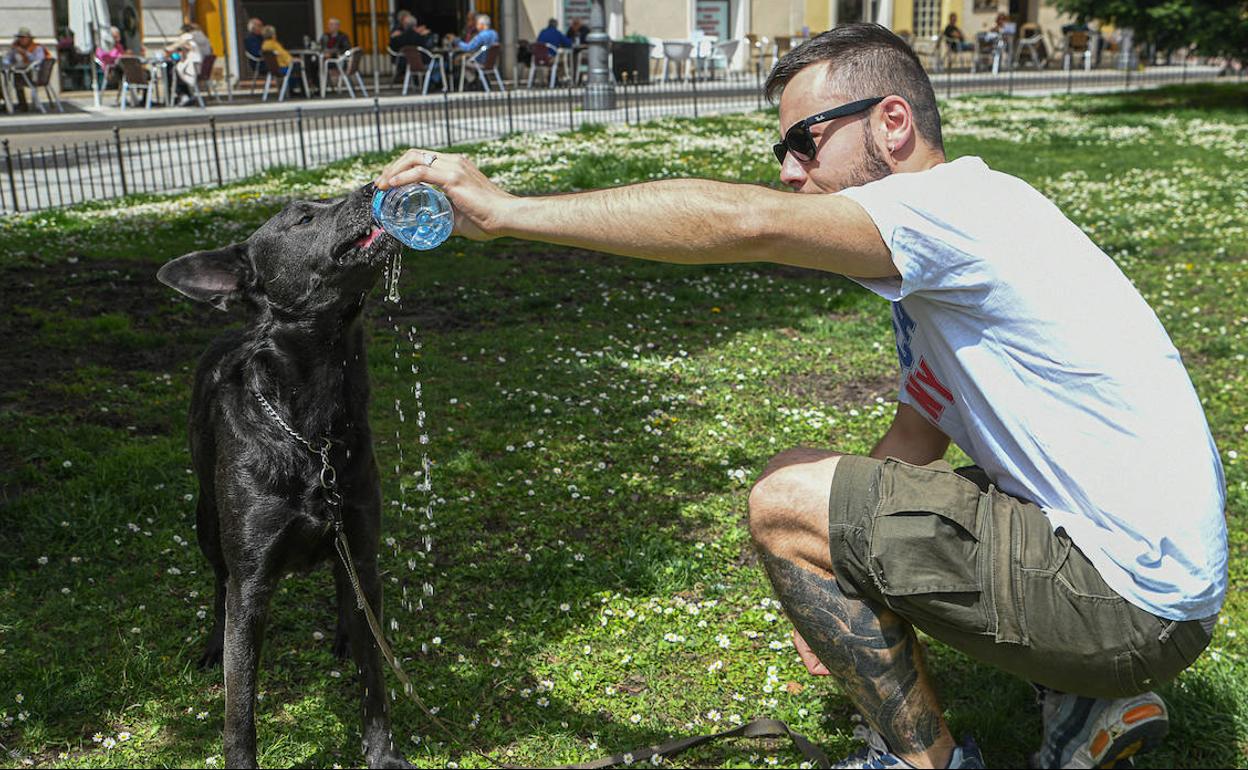 Un joven refresca a su perro en Valladolid.