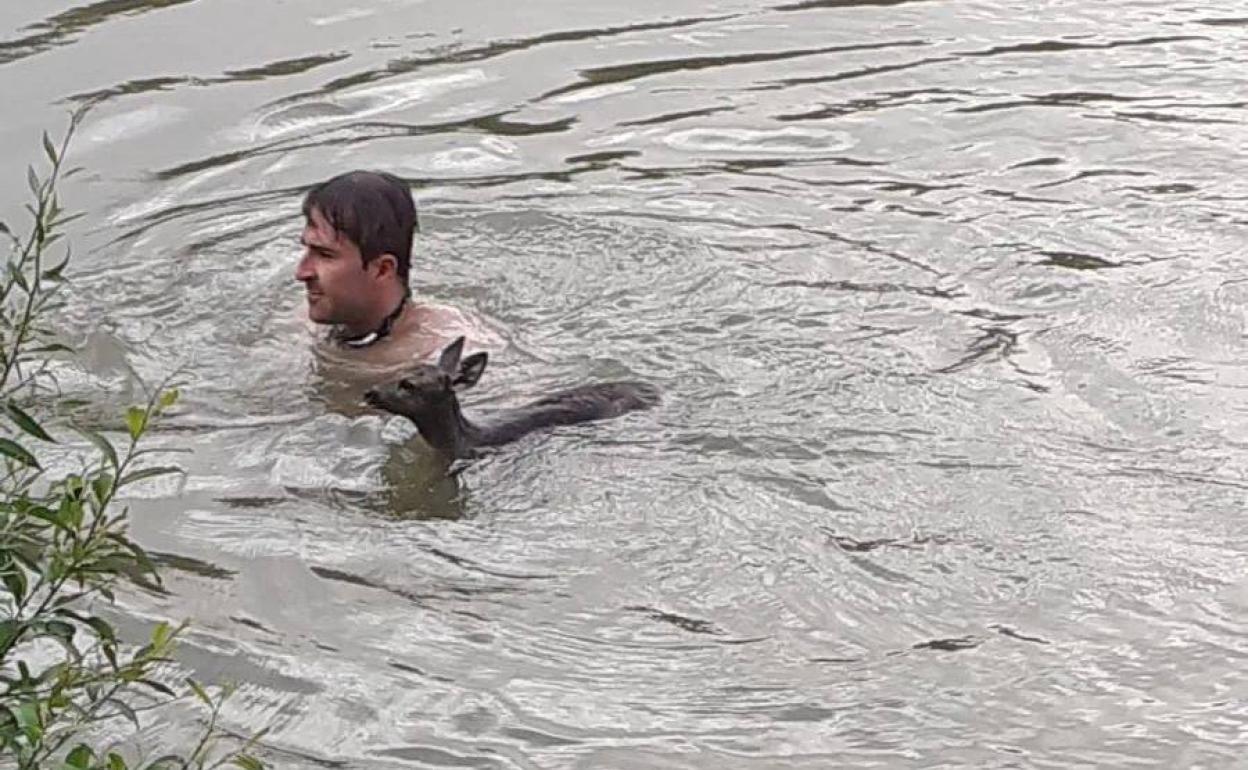 Diego Benito Iglesias saca al corcino de las aguas del Duero. 