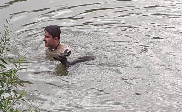 Un opositor a Policía salva a un corzo de morir ahogado en Quintanilla de Arriba