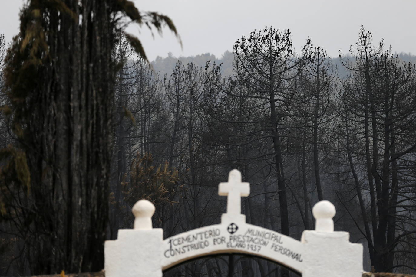 Fotos: Domingo de evaluación de daños en el incendio de la Sierra de la Culebra (Zamora)