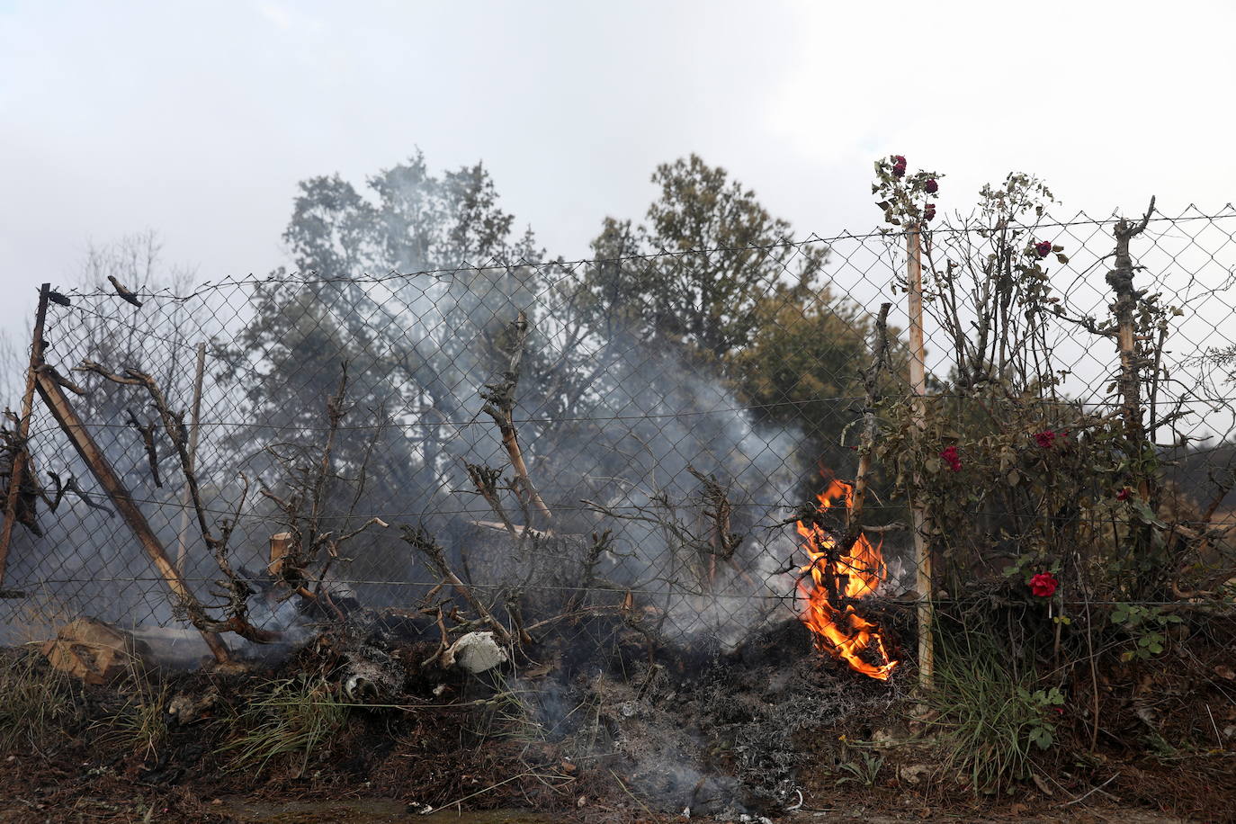 Fotos: Domingo de evaluación de daños en el incendio de la Sierra de la Culebra (Zamora)