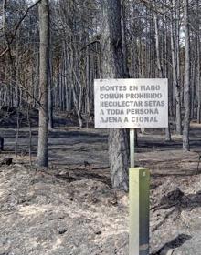 Imagen secundaria 2 - Incendio en la Sierra de la Culebra (Zamora): «Si llego a ver cómo llegaban las llamas a mi casa, me da un infarto»