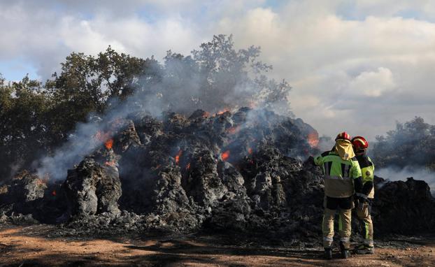 Los bomberos, durante su trabajo en la mañana del domingo. 