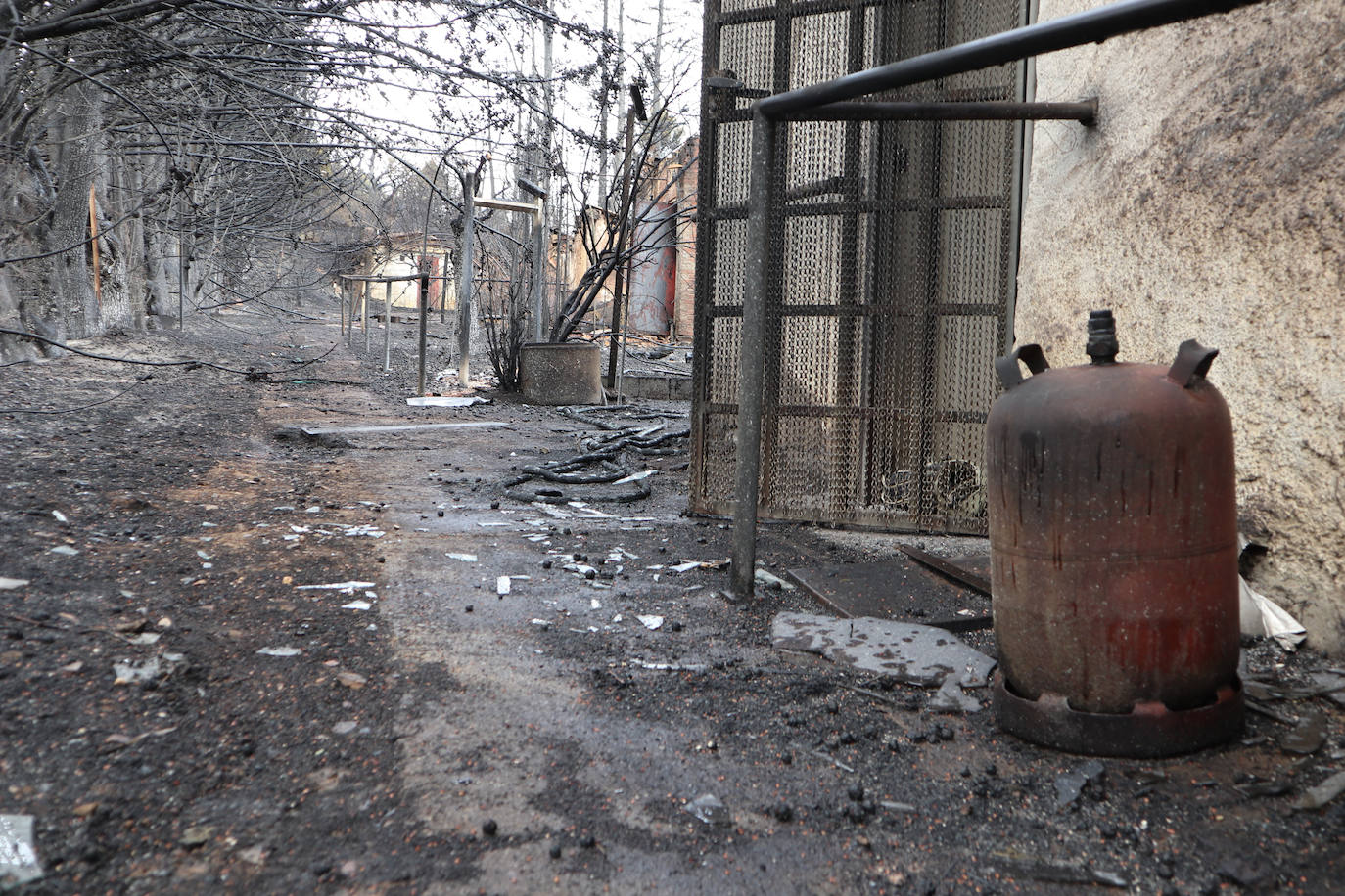 La Sierra de la Culebra, reducida a cenizas tras el paso del incendio forestal.