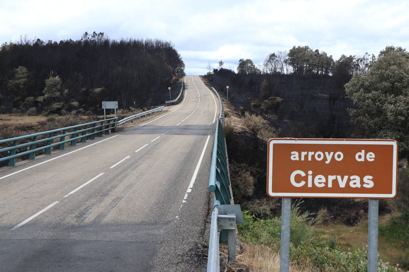 La Sierra de la Culebra, reducida a cenizas tras el paso del incendio forestal.