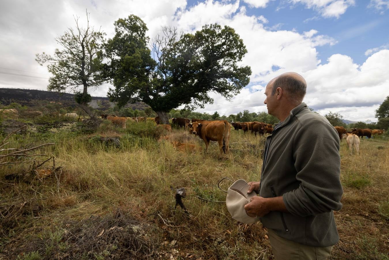 Fotos:Vecinos de Ferreras de Arriba relatan con tristeza el devastador incendio de la Sierra de la Culebra