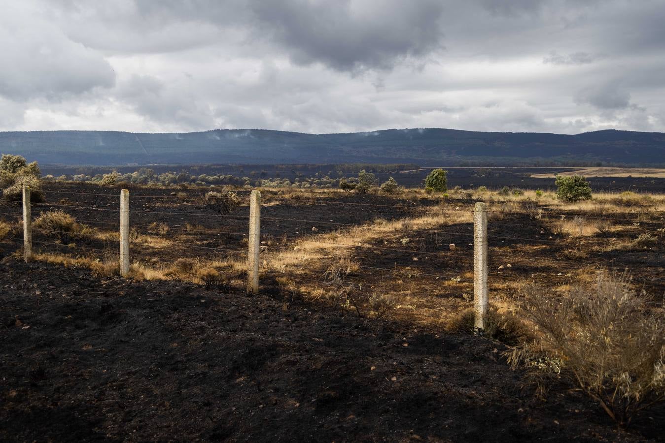 Fotos:Vecinos de Ferreras de Arriba relatan con tristeza el devastador incendio de la Sierra de la Culebra