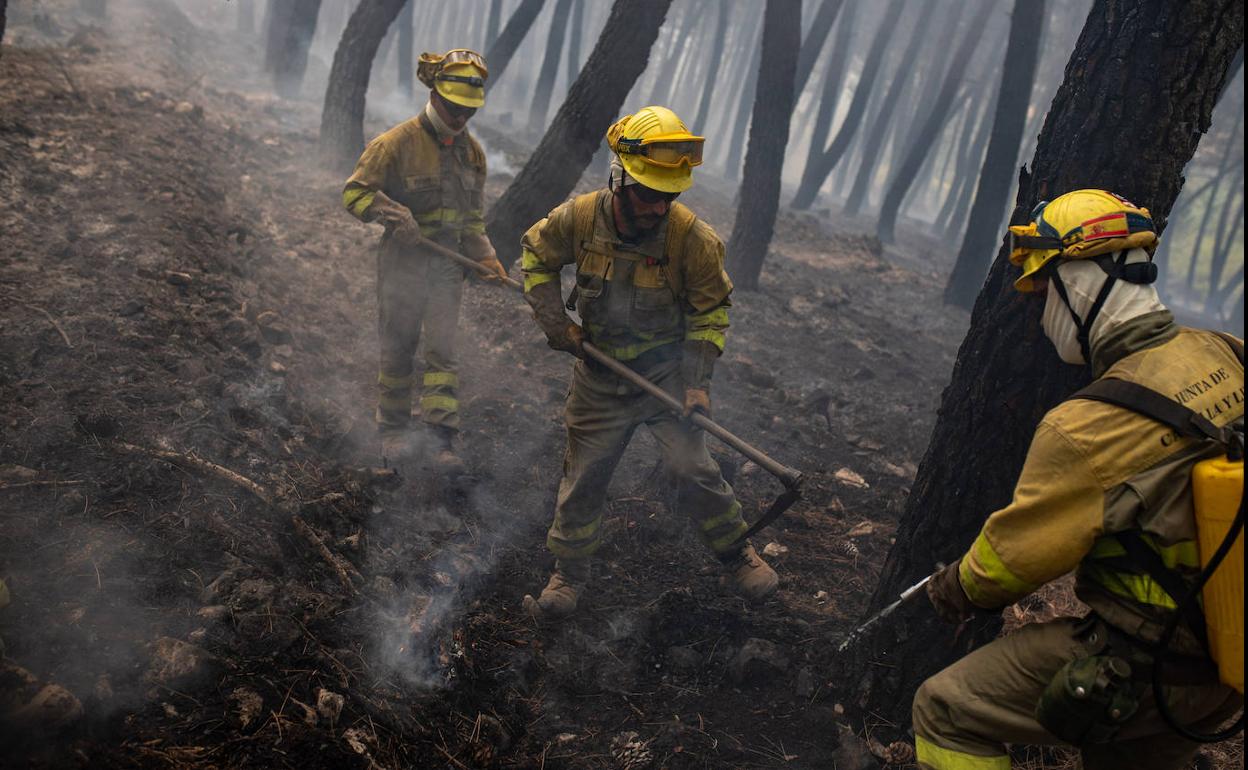 Bomberos trabajan en el incendio de la Sierra de la Culebra el pasado fin de semana. 