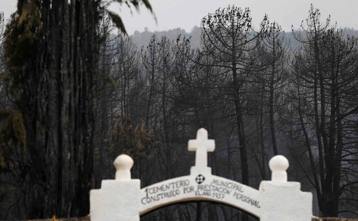 Desolación delante del cementerio de Otero de Bodas en Zamora. 