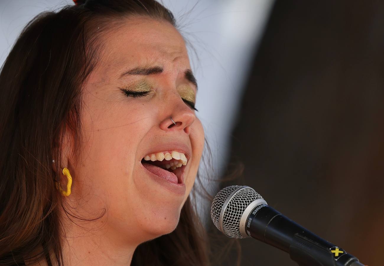 Fotos: Valladolid celebra el Día Europeo de la Música (1/3)