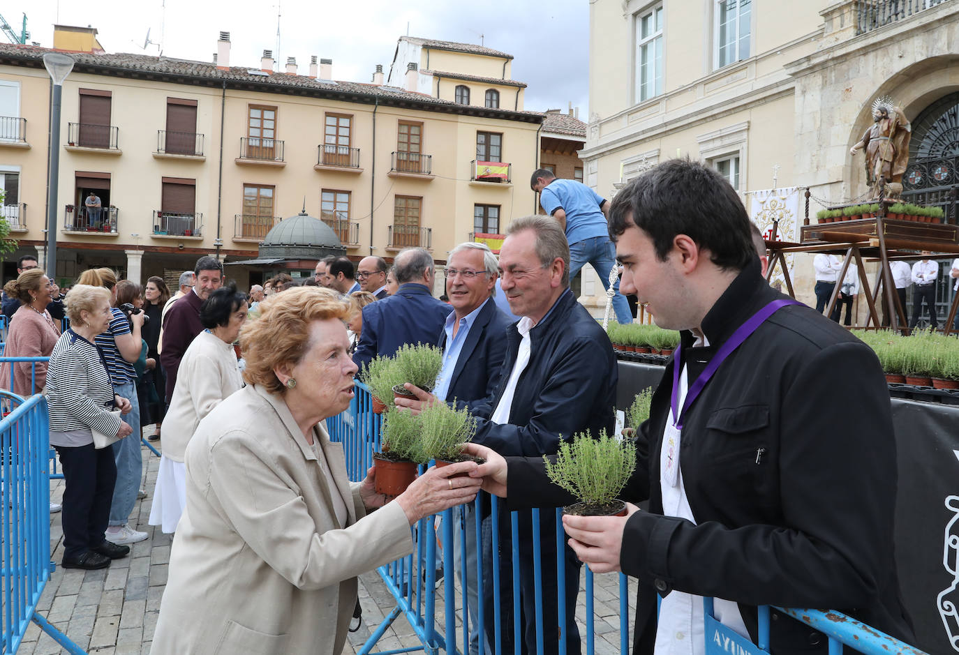 Fotos: Reparto del tomillo de San Juan en Palencia