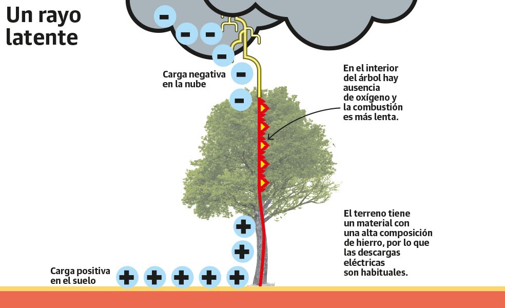 Scroll Story imagen 2