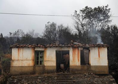 Imagen secundaria 1 - Consecuencias de los incendios forestales: «Sale más barato prevenir que extinguir»