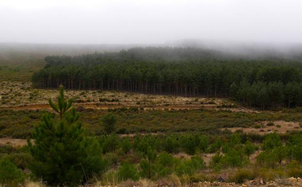 Niebla en la Sierra de la Culebra. 