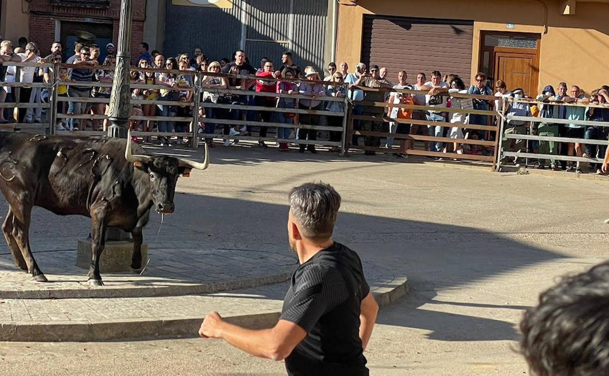 Uno de los participantes en la suelta de la vaca cita al astado. 