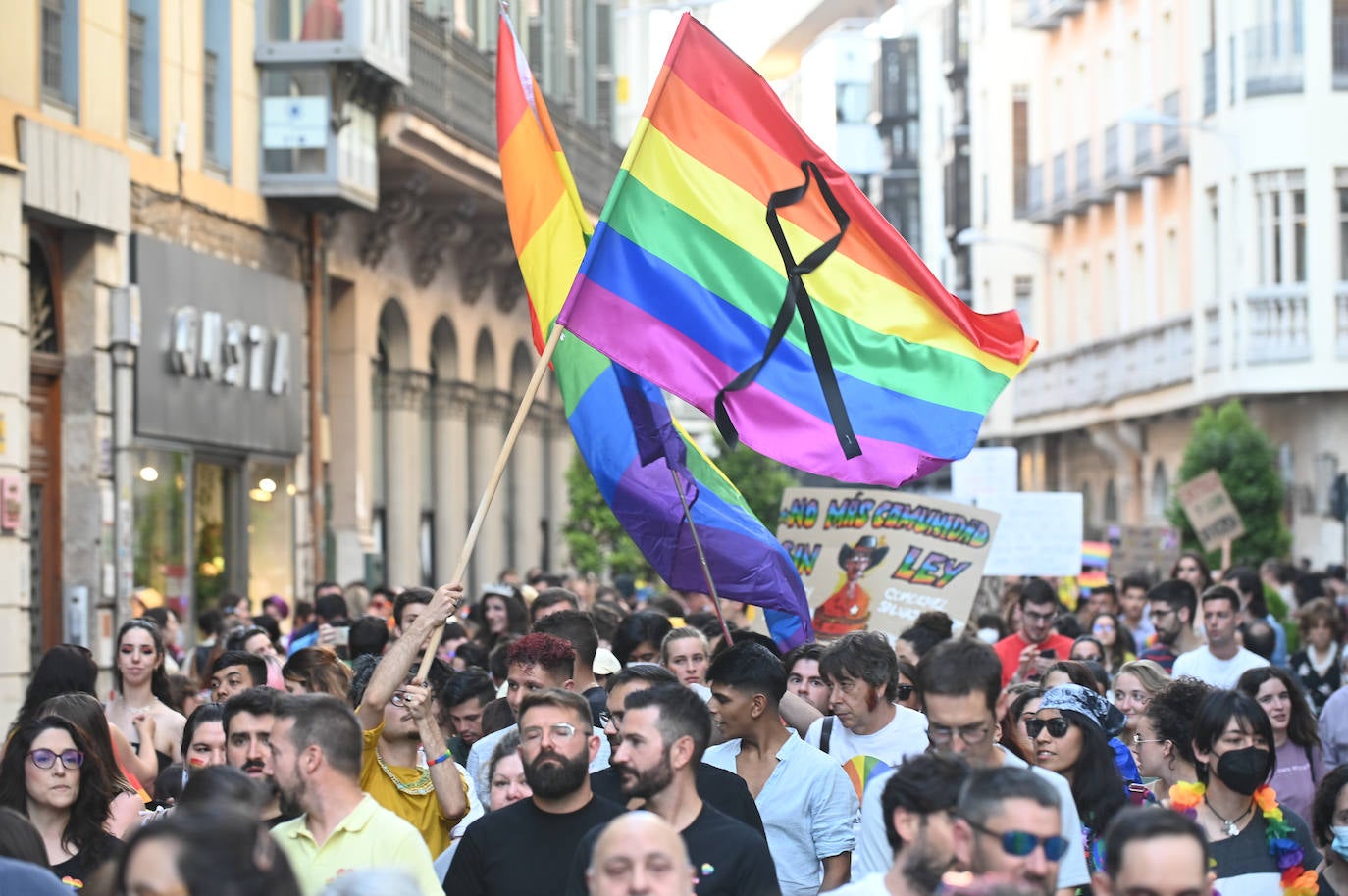 Fotos: Manifestación del Orgullo LGTBI en V
