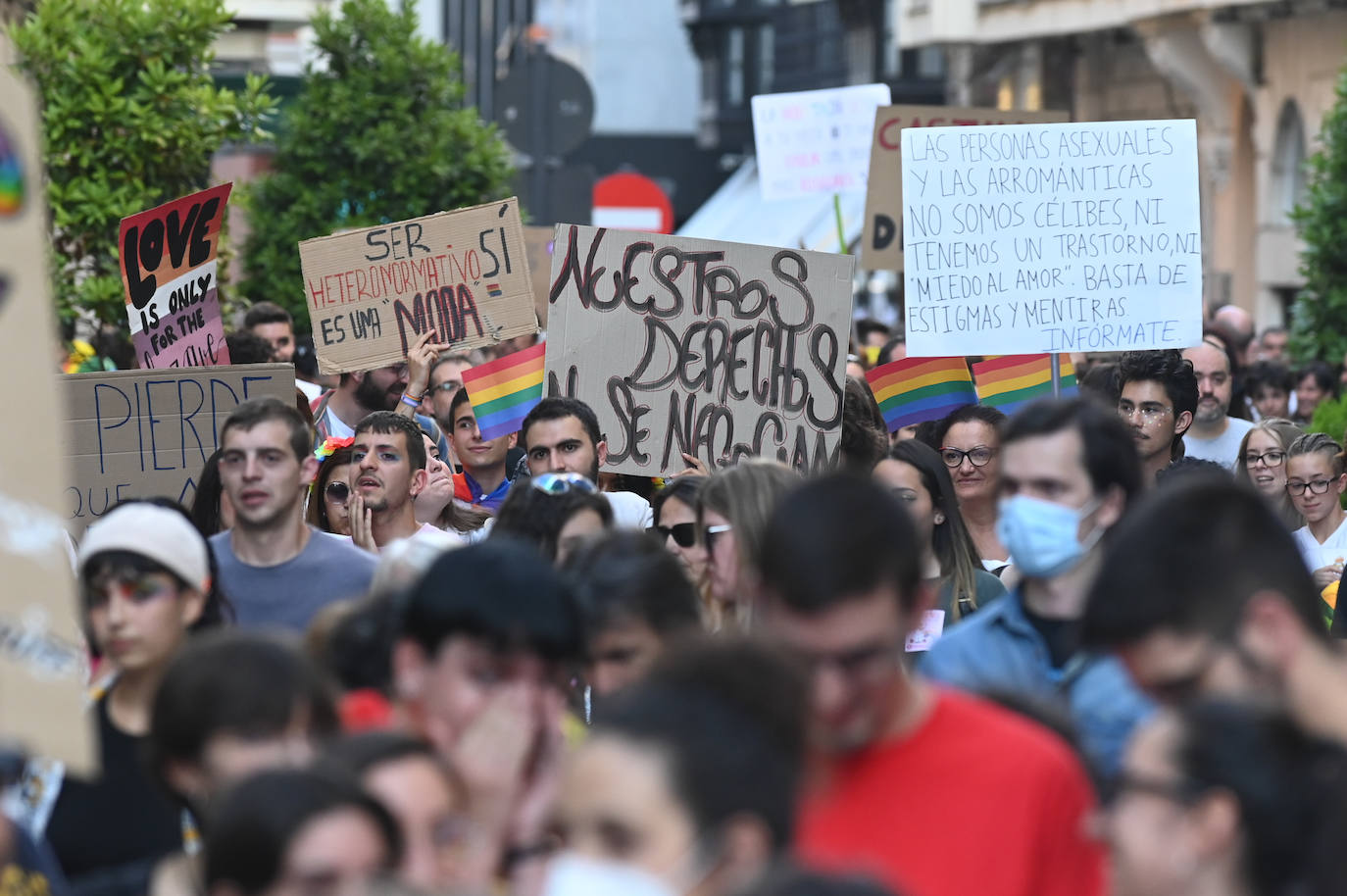 Fotos: Manifestación del Orgullo LGTBI en V