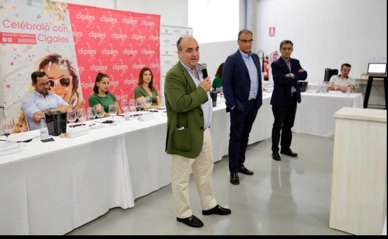 Juan Pedro Medina, viceconsejero; Luis Centeno, vicepresidente de la DO Cigales y Agapito Hernández, vicepresidente tercero de la Diputación de Valladolid. 