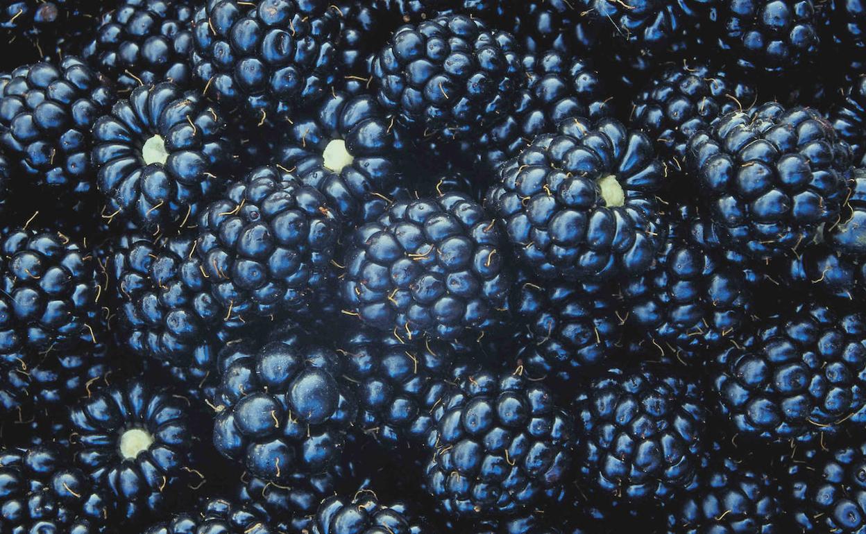 Moras silvestres. 