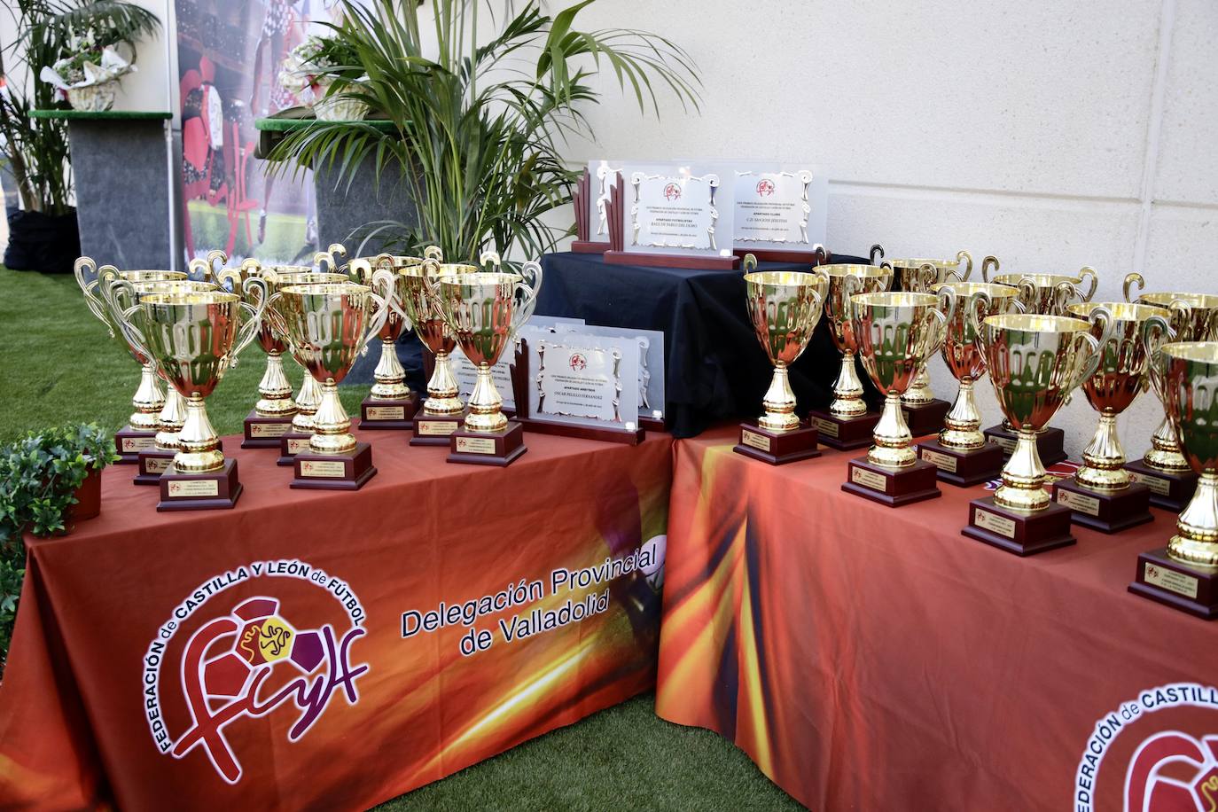 Fotos: Gala de entrega de los premios de la Delegación Provincial de Fútbol (1/5)