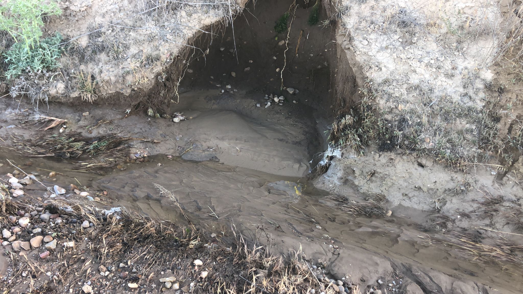 Fotos: El nuevo reventón de la tubería del canal de Riaza, en imágenes