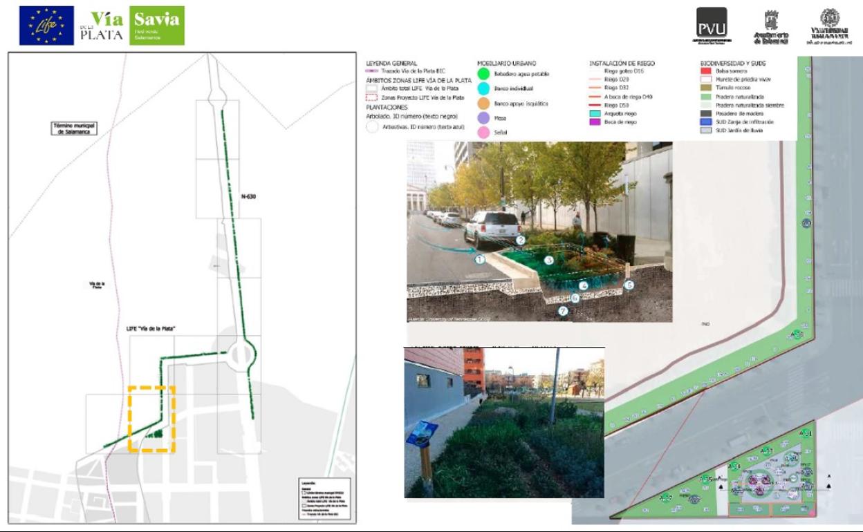 Salamanca inicia el primer proyecto de LIFE Vía de la Plata para renaturalizar su zona norte