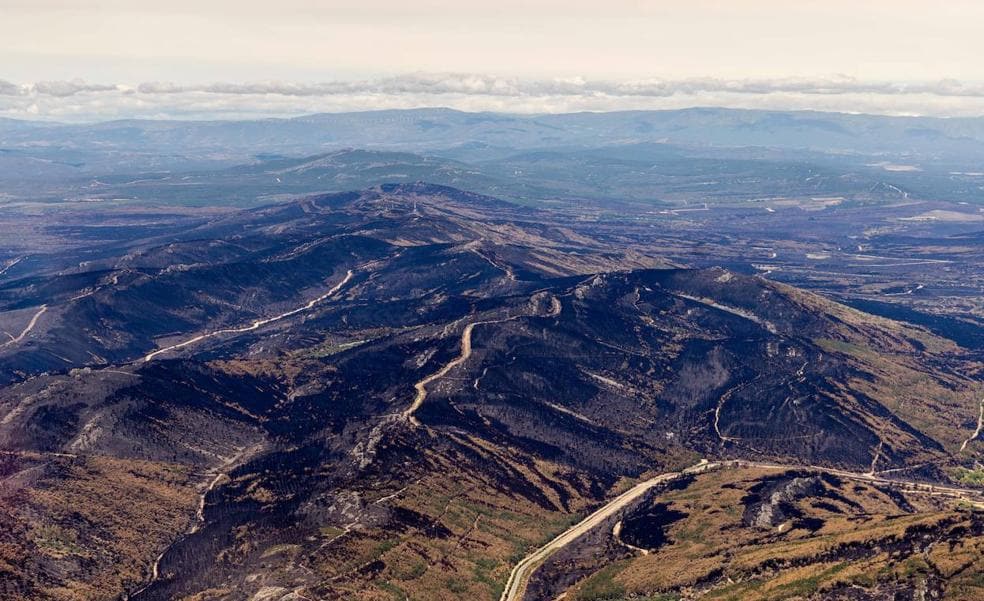 Vista aérea de la sierra de La Culebra desde el avión en el que viajaron el fotógrafo Alberto Mingueza y el piloto Juan José Rodríguez, que aparecen en la imagen dentro del círculo. 