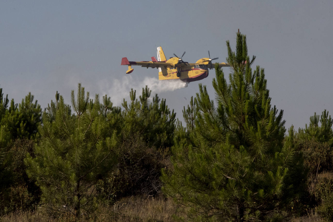 Servicios de extinción trabajan en Honrubia de la Cuesta para controlar el fuego.