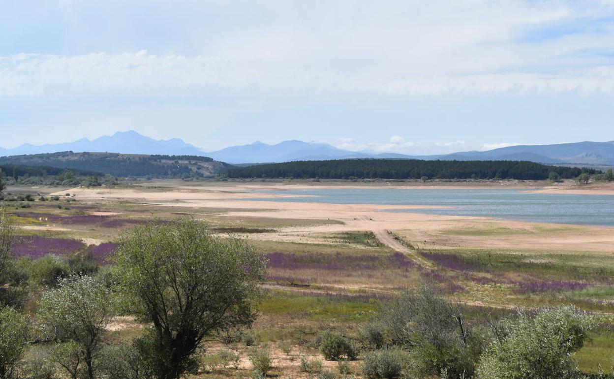 Estado actual del embalse de Aguilar de Campoo. 