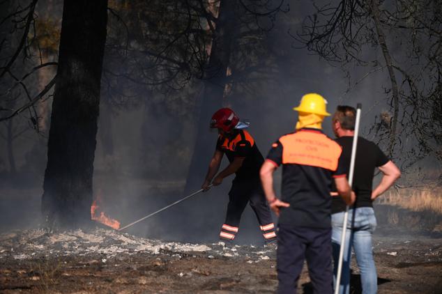 Fotos: Controlado el fuego que amenazó la zona de pinar en Aldeamayor de San Martín