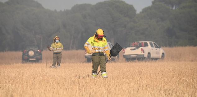 Fotos: Controlado el fuego que amenazó la zona de pinar en Aldeamayor de San Martín