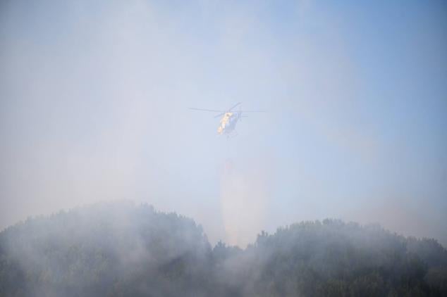 Fotos: Controlado el fuego que amenazó la zona de pinar en Aldeamayor de San Martín