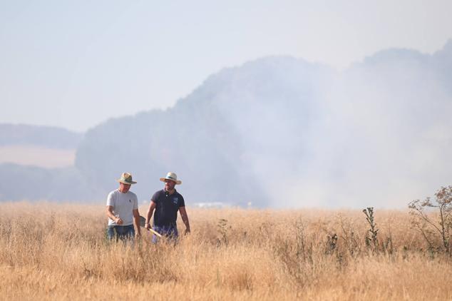 Fotos: Controlado el fuego que amenazó la zona de pinar en Aldeamayor de San Martín