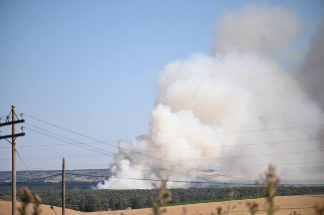 Fotos: Controlado el fuego que amenazó la zona de pinar en Aldeamayor de San Martín