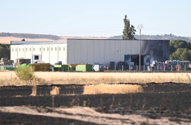 Fotos: Controlado el fuego que amenazó la zona de pinar en Aldeamayor de San Martín