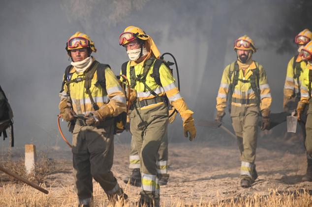 Fotos: Controlado el fuego que amenazó la zona de pinar en Aldeamayor de San Martín