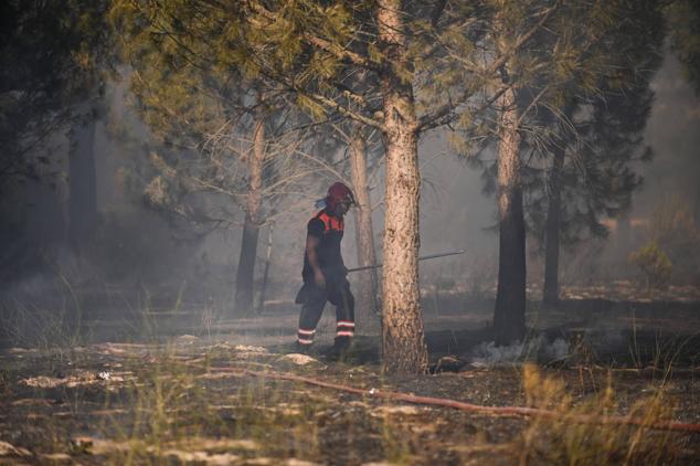 Fotos: Controlado el fuego que amenazó la zona de pinar en Aldeamayor de San Martín