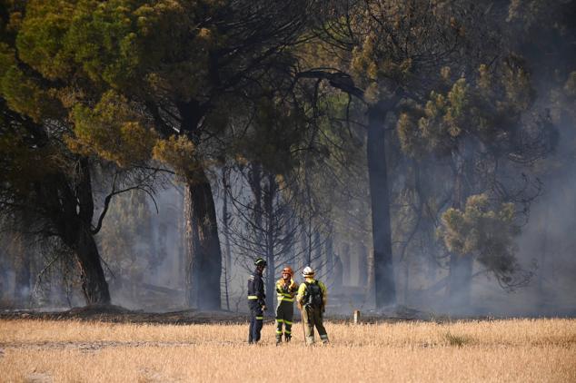 Fotos: Controlado el fuego que amenazó la zona de pinar en Aldeamayor de San Martín