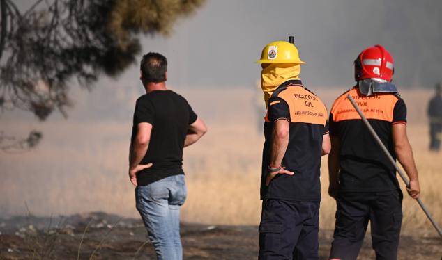 Fotos: Controlado el fuego que amenazó la zona de pinar en Aldeamayor de San Martín