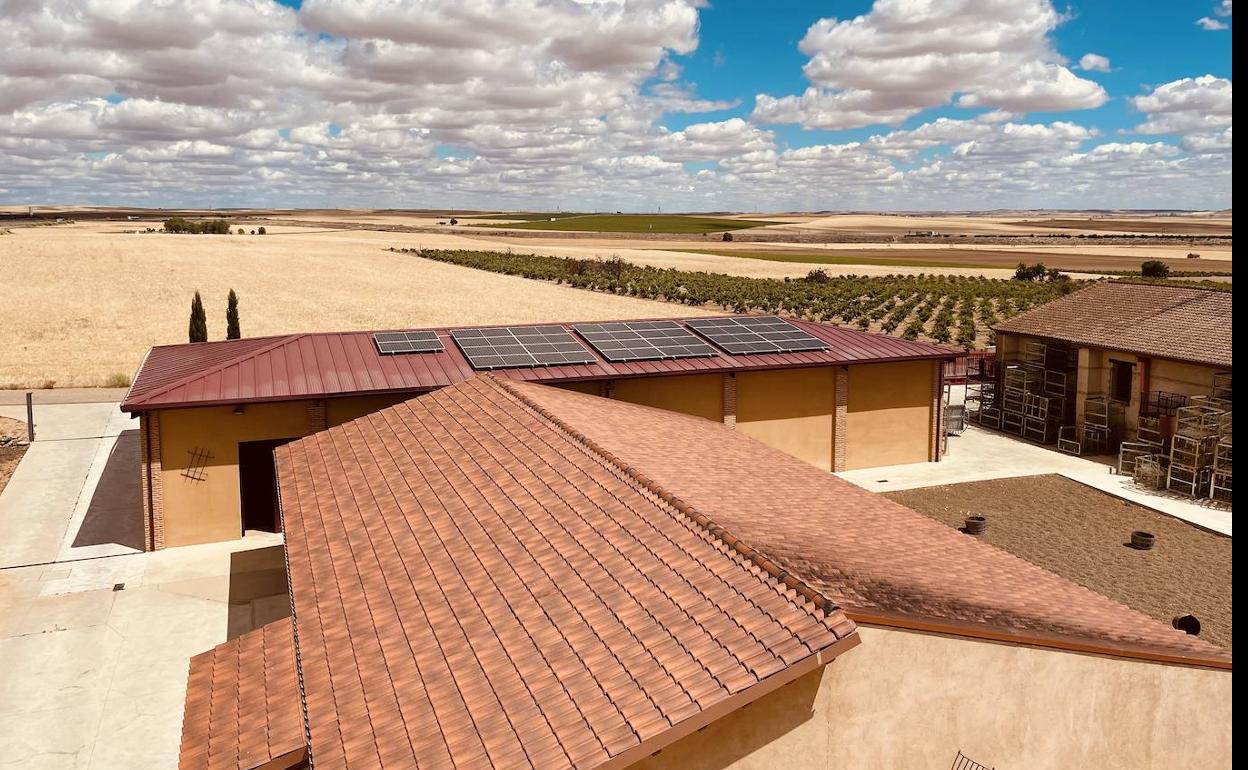 Placas solares en la bodega junto a los viñedos de Liberalia. 