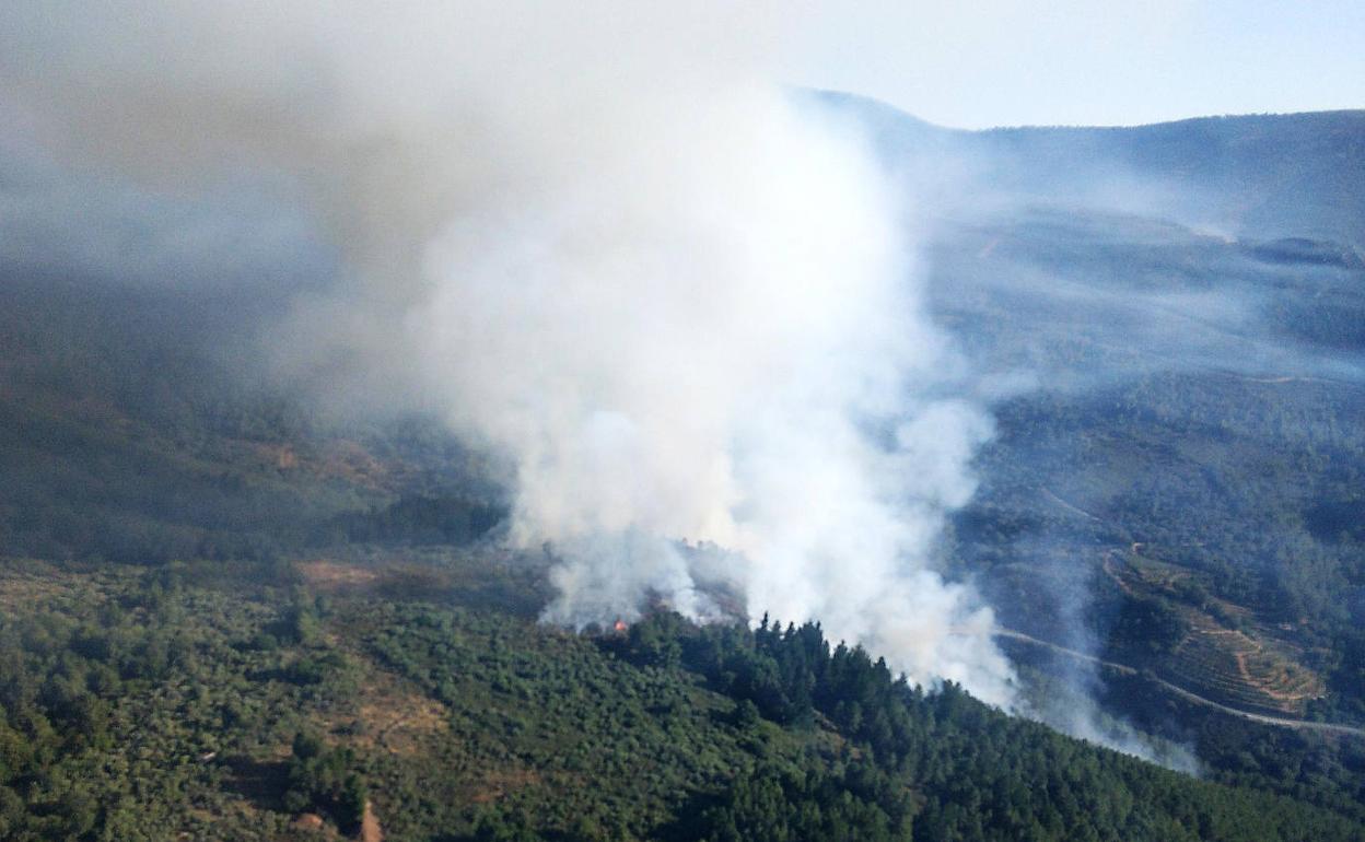 Incendio en en Villanueva del Conde (Salamanca). 