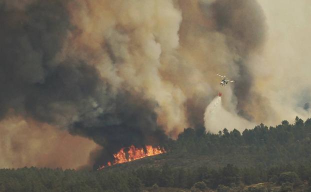 Detenida la cabeza del incendio de Monsagro, aunque existe «mucho riesgo de reactivaciones»