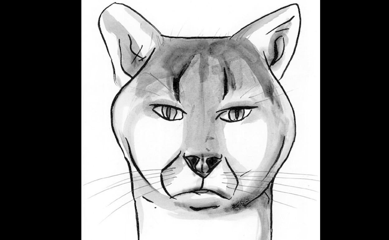 No abandonen a sus mascotas