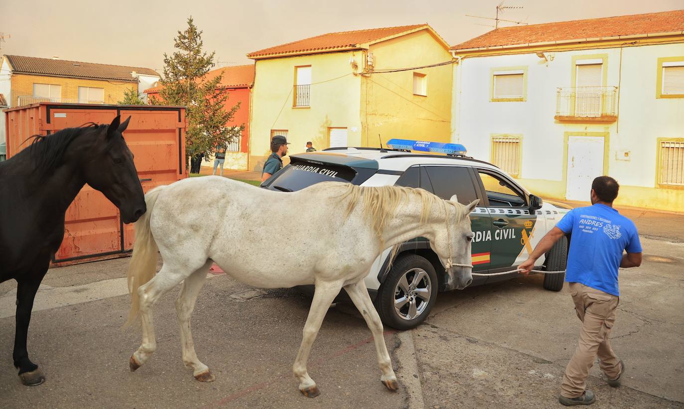 La Guardia Civil conversa con los vecinos para organizar el desalojo.