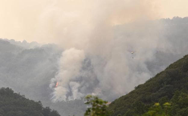 Medios aéreos y terrestres trabajan en la extinción del incendio de Paradaseca