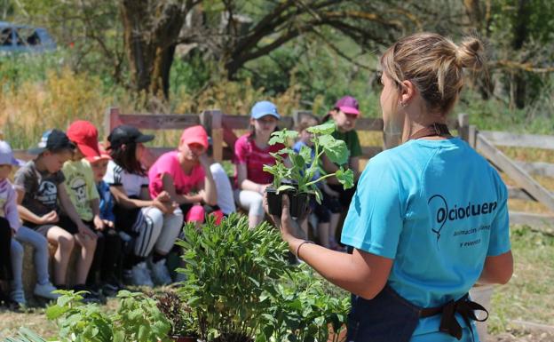 Imagen principal - La monitora Lidya Martínez se dirige a los pequeños. Un niño riega las plantas. 