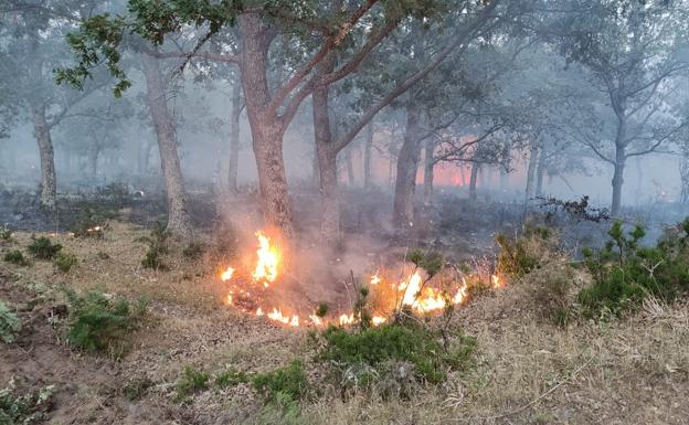 Imagen principal - Las llamas en la zona de monte público de Tenebrón la tarde-noche dle viernes, mientras que en la otra imagen Eli Sánchez, muestra cómo todavía se ve humo el sábado por la mañana.