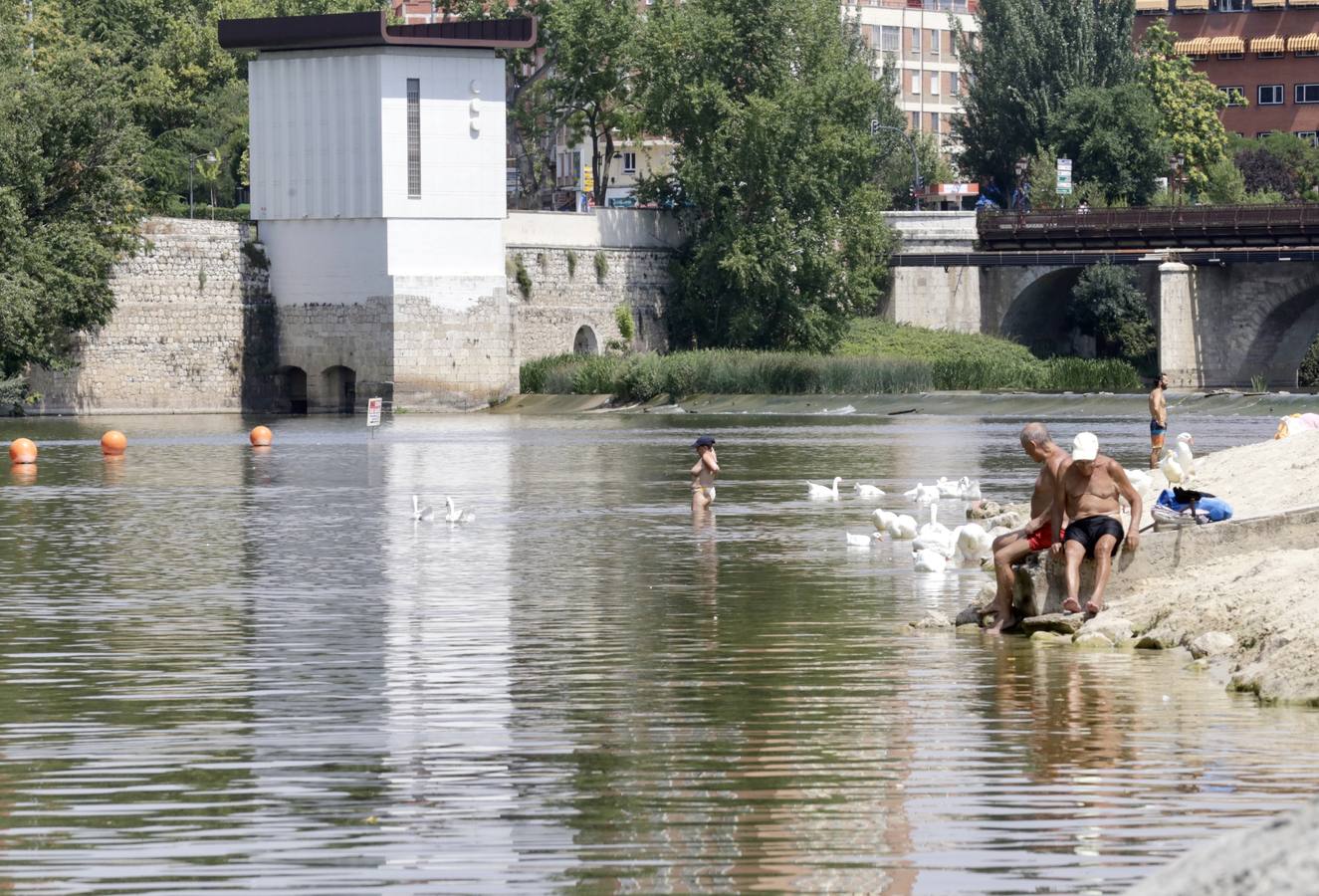 Fotos: El agua del Pisuerga en las Moreras, no apta para el baño